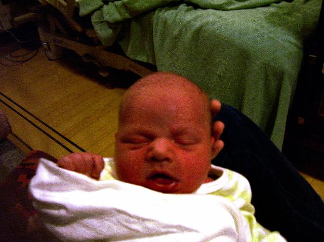 picture.jpg 006.jpg